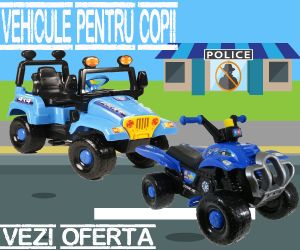 cupoane reducere piticulvesel.ro