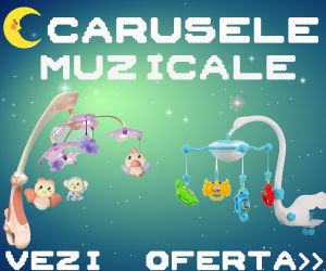 cupoane reducere piticulvesel.ro