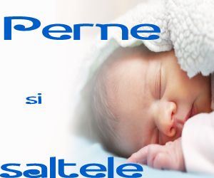 cupoane reducere piticulvesel.ro