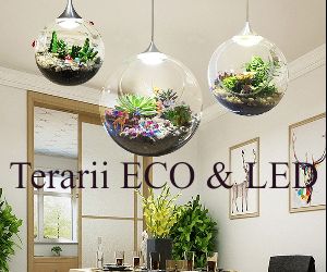 cupoane reducere kdeco.ro