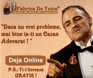 cupoane reducere fabricadetuica.ro