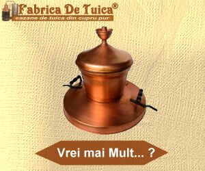 cupoane reducere fabricadetuica.ro