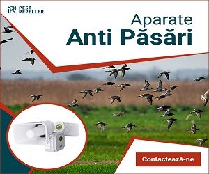 cupoane reducere fara-daunatori.ro