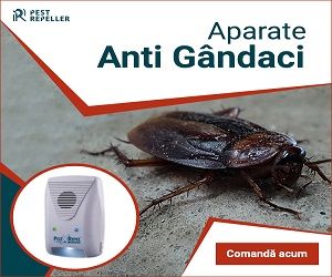 cupoane reducere fara-daunatori.ro