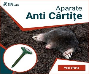 cupoane reducere fara-daunatori.ro