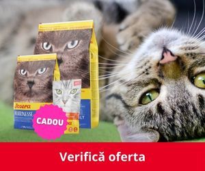 cupoane reducere fera.ro