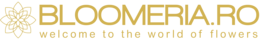cupoane reducere bloomeria.ro
