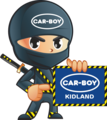 cod de reducere carboysafety - Cod de reducere Carboysafety | Cupoane și promoții speciale | -{discount}% off