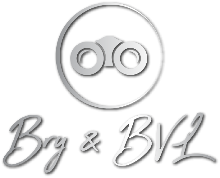 cupon binoclu-copii.ro - Cupon Binoclu Copii | {discount}% off | Ofertă actualizată {month} {year}