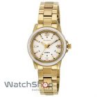 cupoane reducere watchshop.ro